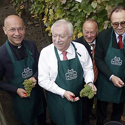 Weinlese mit Michal Häupl