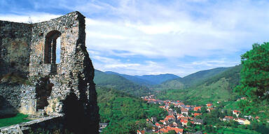 Weinherbst in Niederösterreich