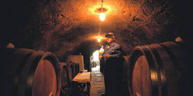 Weinherbst in Niederösterreich