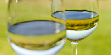 Frost drückte Weinernte im Jahr 2012