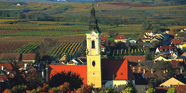 Weinherbst in Niederösterreich