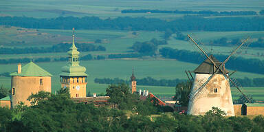 Weinherbst in Niederösterreich