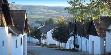 Weinherbst in Niederösterreich