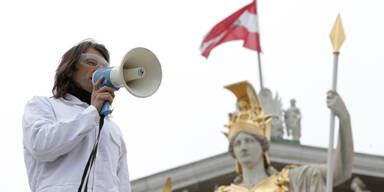 Skandal-Künstler besetzt Parlament