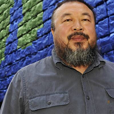 Felisa Wolfe-Simon, Wissenschaftlerin