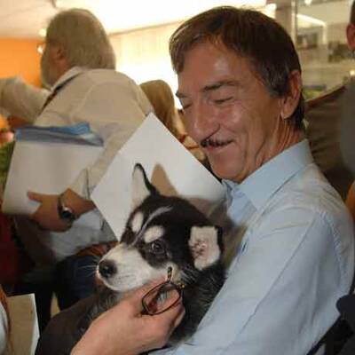 Die süßen Hundewelpen kriegen neue Besitzer