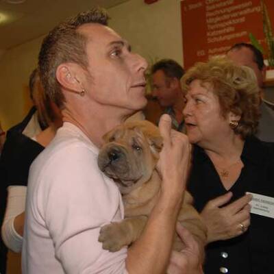 Die süßen Hundewelpen kriegen neue Besitzer