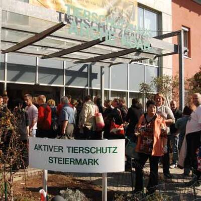 Die süßen Hundewelpen kriegen neue Besitzer