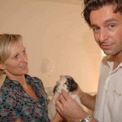Die süßen Hundewelpen kriegen neue Besitzer