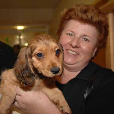 Die süßen Hundewelpen kriegen neue Besitzer