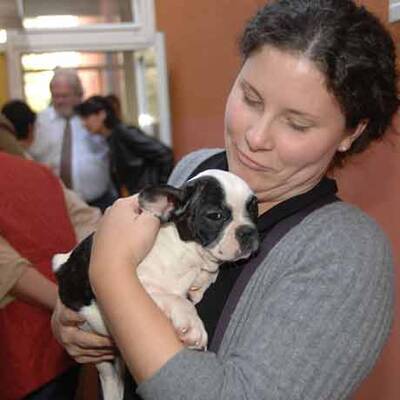 Die süßen Hundewelpen kriegen neue Besitzer