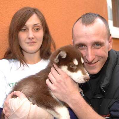 Die süßen Hundewelpen kriegen neue Besitzer