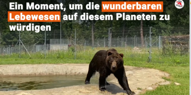 welttierschutztag 1.PNG