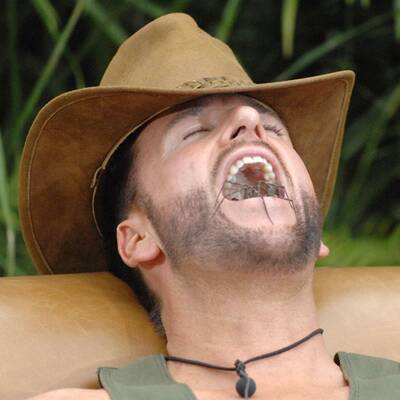 Erster Dschungel-Star gibt auf