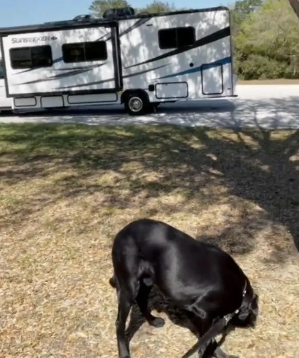 Wendler wohnt jetzt im Wohnmobil