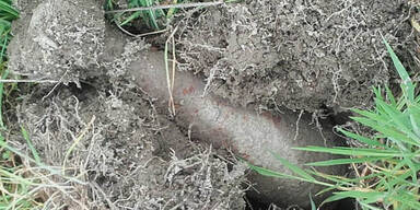 Werfergranate bei Familienausflug entdeckt