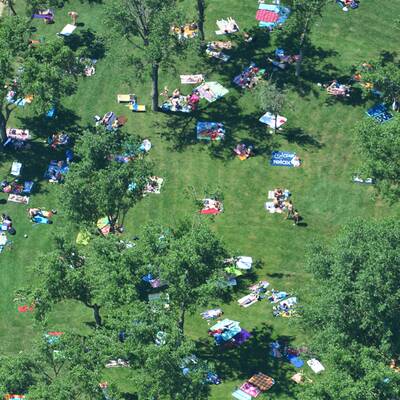 Die Bilder aus dem ÖSTERREICH-Heli