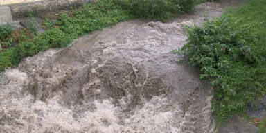 Unwetter: Jäger von Baum erschlagen
