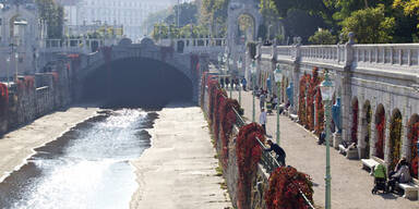 Frau (35) stirbt nach Sturz in Wienfluss