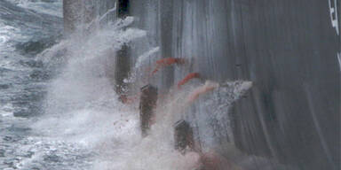 Walfangschiff kollidiert mit Tierschützern