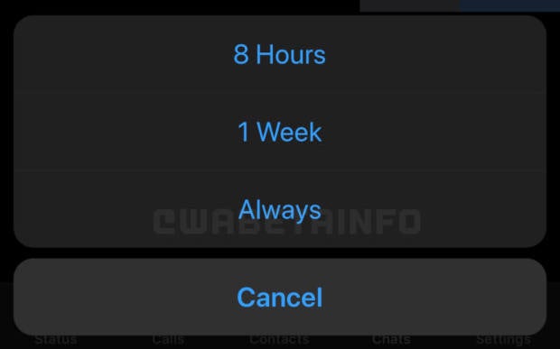 Neue WhatsApp-Top-Funktion kommt auch fürs iPhone