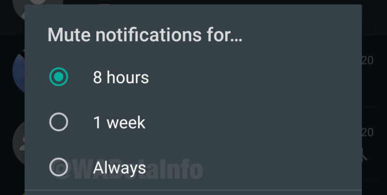 Auf diese WhatsApp-Funktionen haben die User gewartet