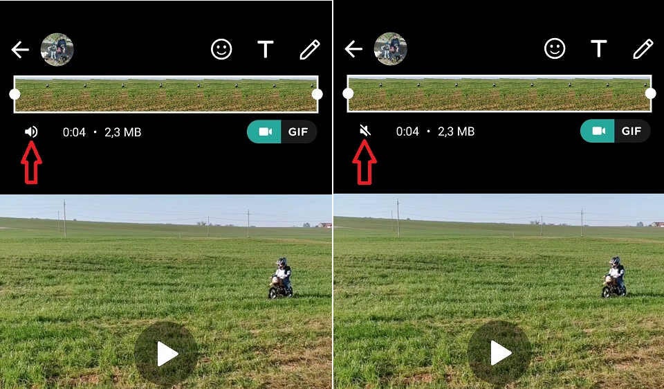 WhatsApp: Neue Taste dreht Ton bei Videos ab