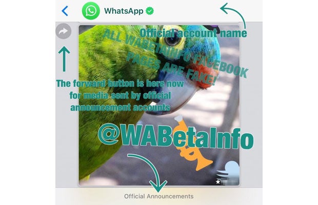 Bei WhatsApp wird jetzt alles neu