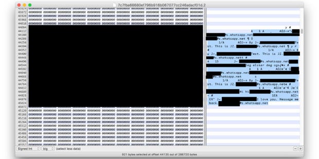 Mega-Lücke bei WhatsApp entdeckt