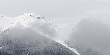 whistler nebel