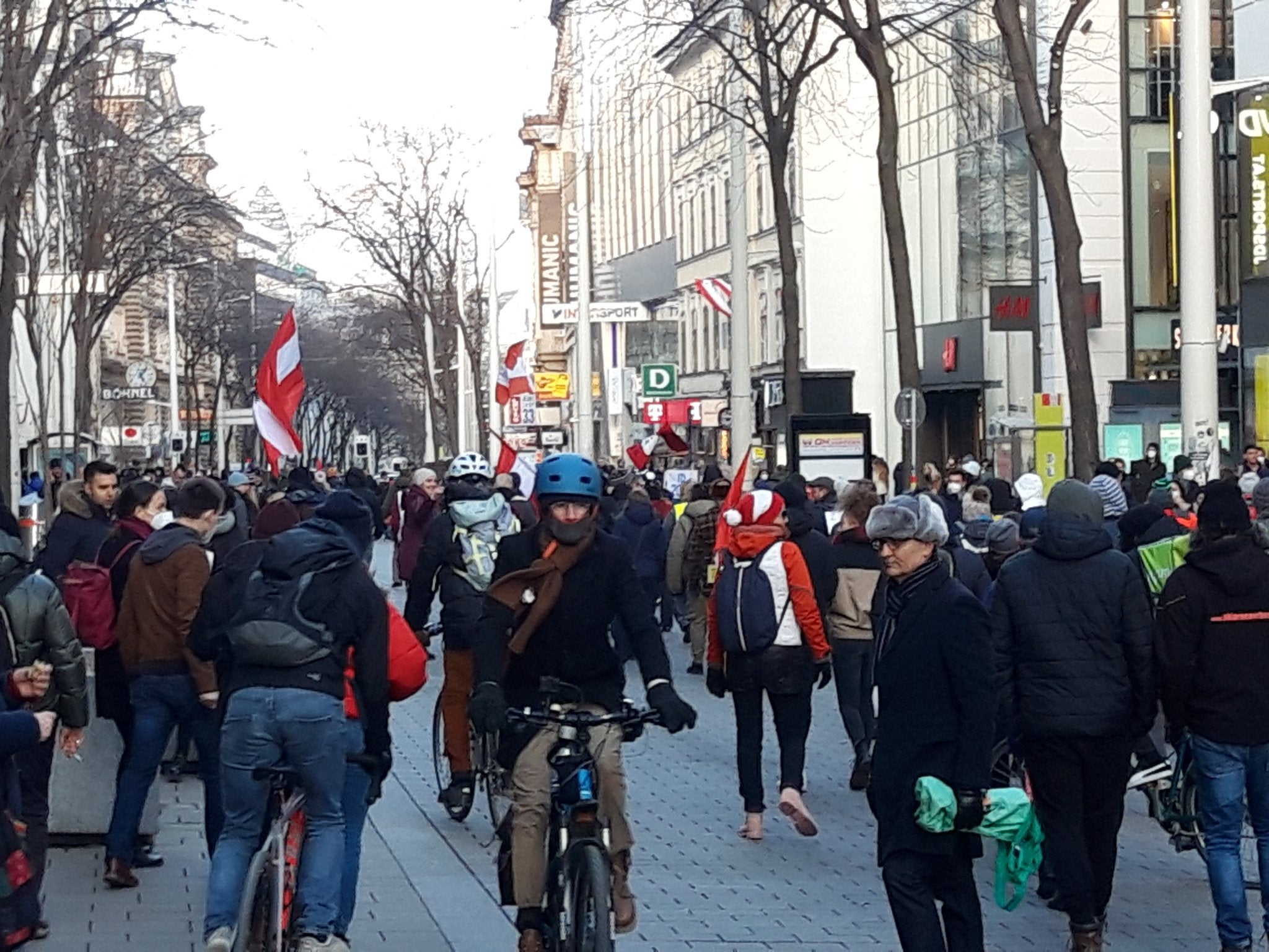 wien demo corona.jfif