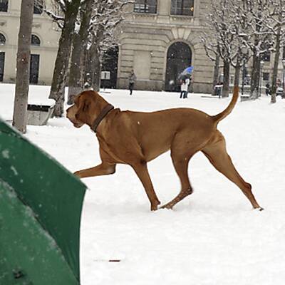 40 cm Neuschnee in Österreich