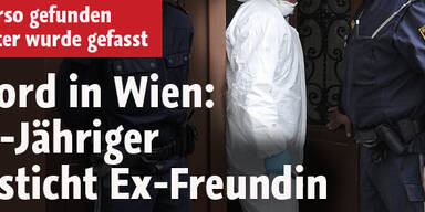 Messermord in Wien-Hietzing