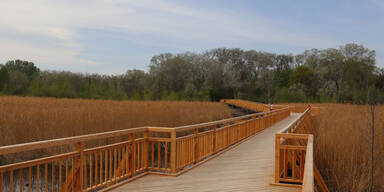 Radler attackiert Fotografin (42) in Wien unvermittelt mit Messer