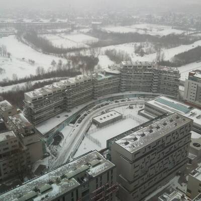 Schneelandschaft bei St. Veit an der Glan