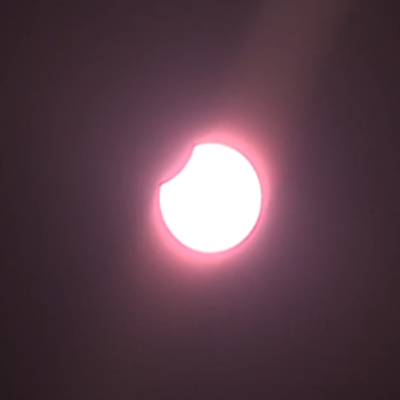 Die schönsten Fotos der oe24-Leserreporter