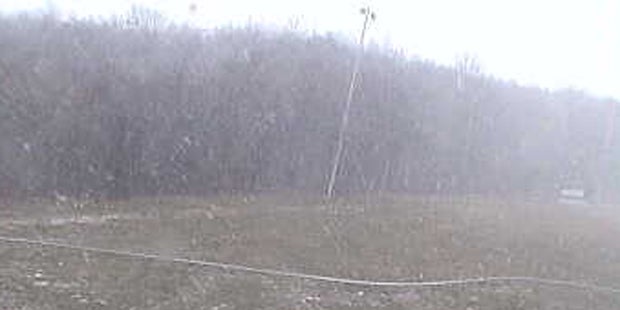 Jetzt wird auch Wien eingeschneit