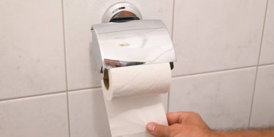 wiener sch&uuml;ler.png