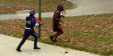 Video von "Mistk&auml;ferjagd" im Gemeindebau wird zum Netz-Hit