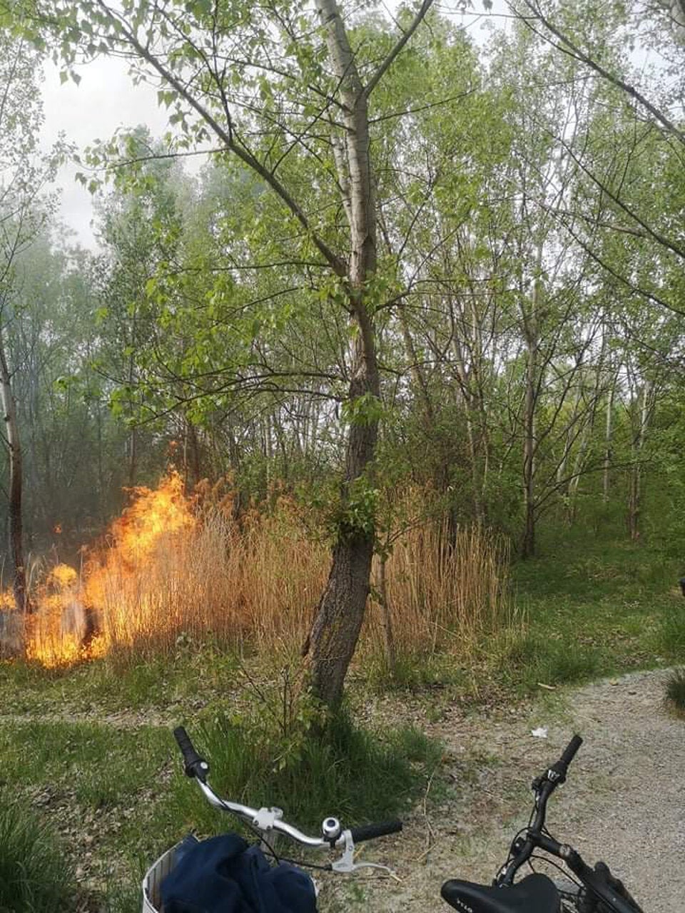 Feuer-Alarm im Erholungsgebiet Wienerberg