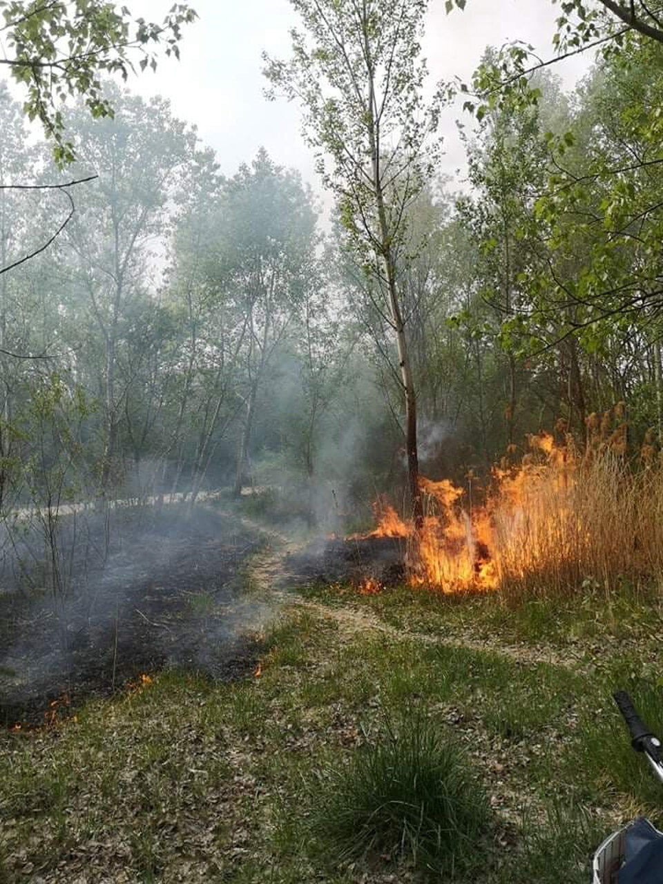 Feuer-Alarm im Erholungsgebiet Wienerberg