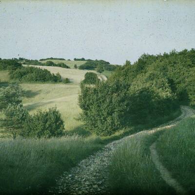 Kitzbühler Alpen (T): Sonnig, 15° in 1000 m