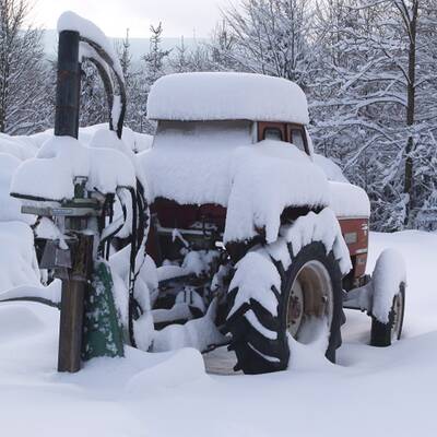 Winter im Wienerwald