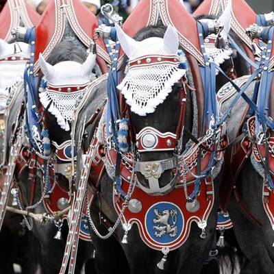 Münchner Oktoberfest 09 hat begonnen