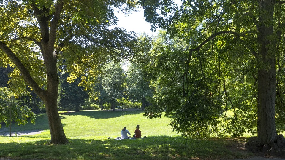 Türkenschanzpark