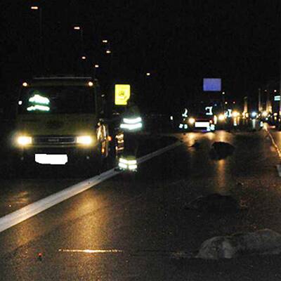 Wildschwein-Unfall auf A1