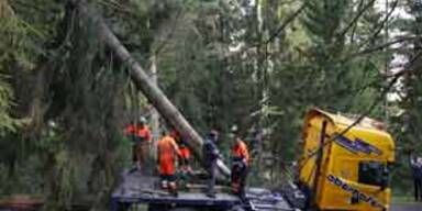 wildbildFTP-d05k7035