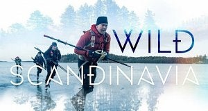 Die aktuellen Streaming-Highlights (27.01. - 02.02.)