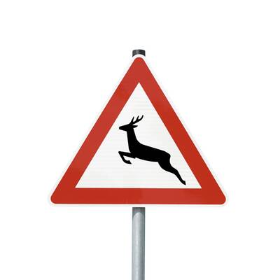 Laub: Vor allem für Zweiräder eine Rutschpartie