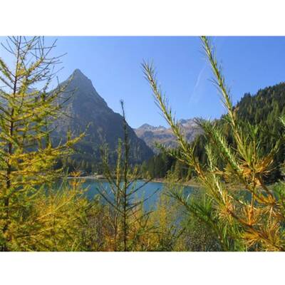 Die schönsten Urlaubsfotos